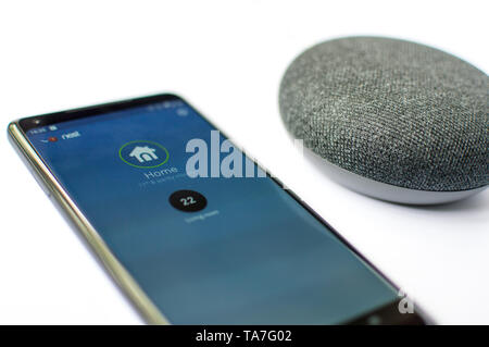 Google Home Mini mit künstlicher Intelligenz und Nest thermostat Service auf ein Android Handy Stockfoto