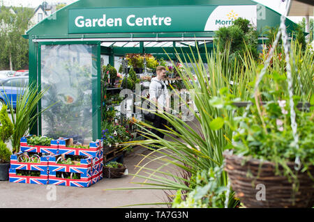 Morrisons pop-up Garten Center Event ausserhalb ihrer Store Stockfoto