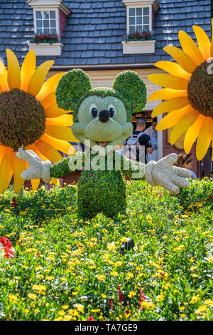 ORLANDO, USA. 29. APRIL 2019: Mickey Mouse formgehölze Anzeige Abbildung auf dem Display in Disney World Stockfoto