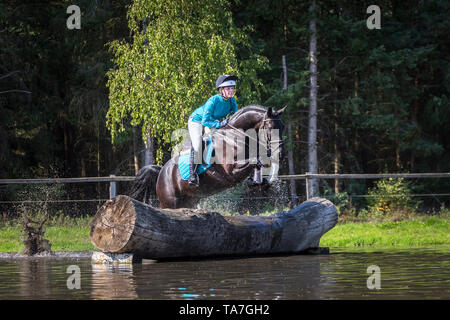 Hannoveraner Pferd. Reiter auf schwarzen Wallach Clearing ein Hindernis bei einer Cross-country-reiten. Deutschland Stockfoto