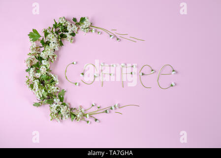 "Kaffee" aus kamillenblüten auf rosa Hintergrund. Schöne kreative Komposition. Sommer Konzept. Flach, Ansicht von oben, kopieren Raum Stockfoto