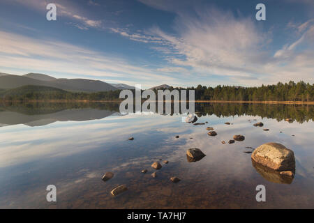 Loch Morlich im Abendlicht. Cairngorms National Park, Schottland, Großbritannien Stockfoto