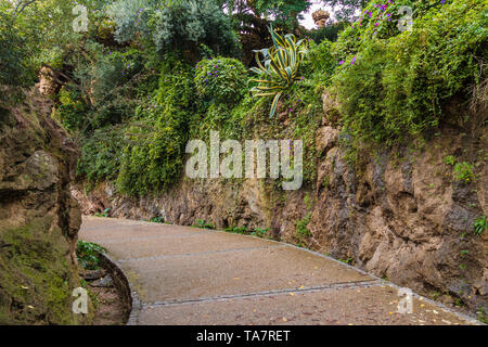 Ein Fußweg zwischen zwei Steinmauern mit üppiger Vegetation im Park Güell in bewölkten Herbst Tag, Barcelona, Katalonien, Spanien Stockfoto