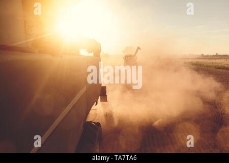 Ein Mähdrescher und Traktoren Erntetechnik bei Sonnenuntergang Stockfoto