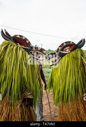 Goli heilige Masken Paar in Baule Stamm während einer Zeremonie, Région de l'Esperance, Bomizanbo, Elfenbeinküste Stockfoto