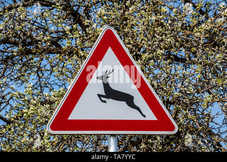 Verkehrszeichen für Spiel Trail, wo wilde Tiere über die Straße Stockfoto