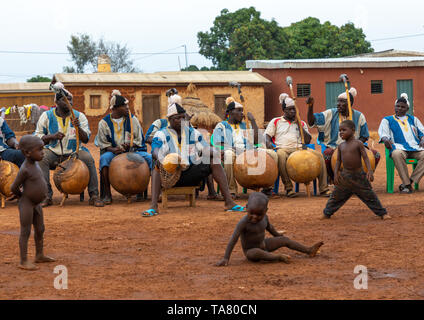 Afrikanische Musiker koras Wiedergabe während Boloye Tanz der Panther Mann, Savanes Bezirk, Waraniene, Elfenbeinküste Stockfoto