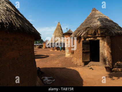 Häuser mit Strohdächern in einem senufo Dorf, Bezirk, Niofoin Savanes, Elfenbeinküste Stockfoto