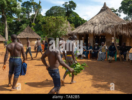 Dan Stamm Männer tanzen mit Blättern, während einer Zeremonie, Bafing, Gboni, Elfenbeinküste Stockfoto