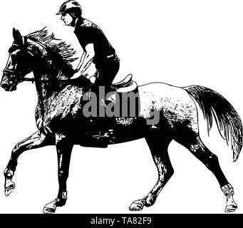 Junge Reiter reiten elegantes Pferd Skizze Illustration - Vektor Stock Vektor