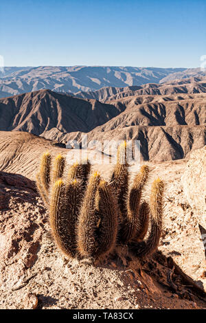 Ariden Umgebung der peruanischen Wüste. Nasca, Abteilung für Ica, Peru. Stockfoto