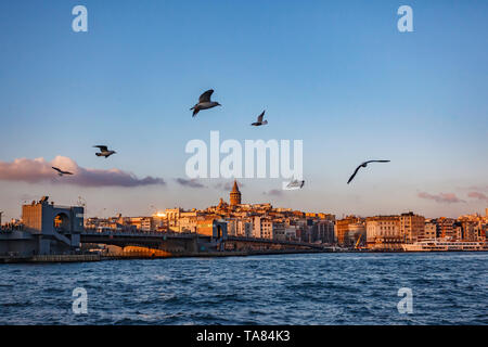 Galata-brücke, Galata-turm, und Möwen, Istanbul, Türkei Stockfoto