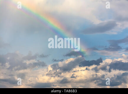 Regenbogen im Frühjahr bewölkter Himmel nach einem Gewitter und Regen. Stockfoto