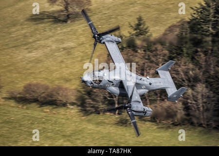 Eine Glocke Boeing V-22 Osprey fliegen durch die Mach Loop in Wales, Großbritannien Stockfoto