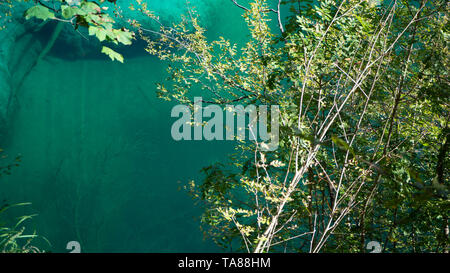 Tiefblaue Seen im Nationalpark Plitvice in Kroatien Stockfoto