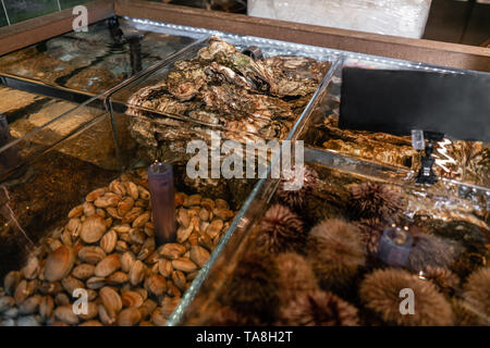 Austern, Seeigel und Muscheln für den Verkauf in einem Wasser Aquarien an der Straße Markt in Frankreich. Meeresfrüchte Konzept. Stockfoto