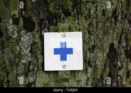 Blaues Kreuz Symbol markiert einen Wanderweg an einem Baum im Wald Stockfoto