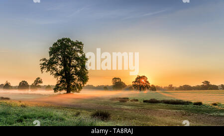 Sonnenaufgang in der Berkshire, Nebel, der auf die Felder, die mit dem Schein der die Morgensonne scheint durch die Bäume und reflektiert. Im Mai um 5:30 Uhr Stockfoto