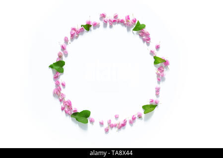 Flach Flower Crown, floral wreath Kreis von rosa Blumen auf weißem Hintergrund, Ansicht von oben. Blüte kreative Komposition mit Kopie sp Stockfoto