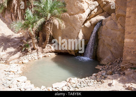 Kleiner Wasserfall in Berg Oase der chebika am Rand der Sahara, Tunesien, Afrika Stockfoto