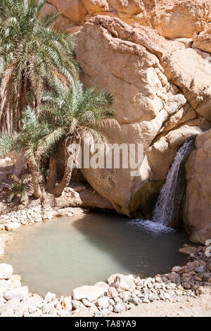 Wasserfall in der Oase der Chebika, eine Fata Morgana in der Wüste Sahara, Afrika Stockfoto