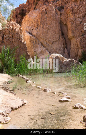 Klares Wasser in Chebika Berg Oase an der Grenze der Sahara. See und der Linie, die von der Steine im Wasser. Der Djebel el Negueb, Toseur, Western Tunesien, Stockfoto