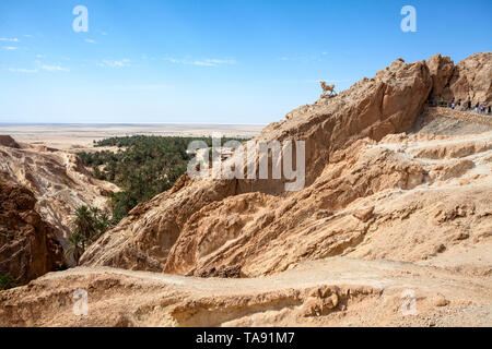 Spektakuläre Aussicht auf die chebika Oase in Djebel el Negueb Berg. Es ist beliebtes Wandergebiet für Fortgeschrittene Wanderer in Toseur Governatorat, Western Tunis Stockfoto