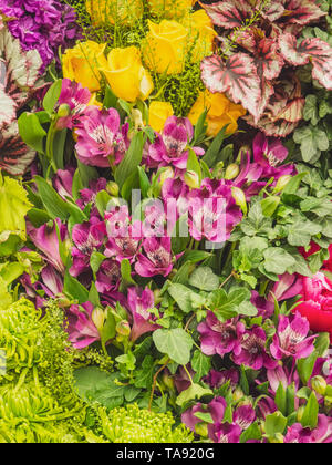 Wunderschön gestaltete Gärten mit Pflanzen und bunten Blumen an der RHS Chelsea Flower Show. Stockfoto