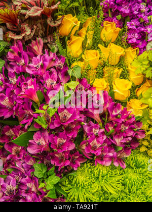 Wunderschön gestaltete Gärten mit Pflanzen und bunten Blumen an der RHS Chelsea Flower Show. Stockfoto