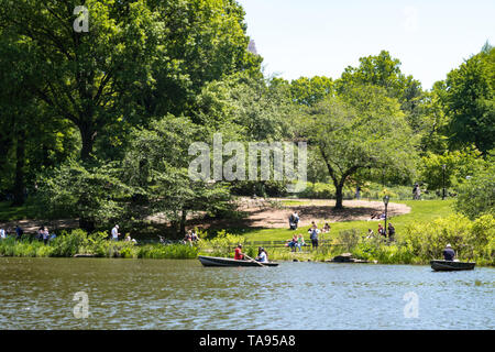 Ruderboote in den See auf Frühling Nachmittag, Central Park, NYC Stockfoto