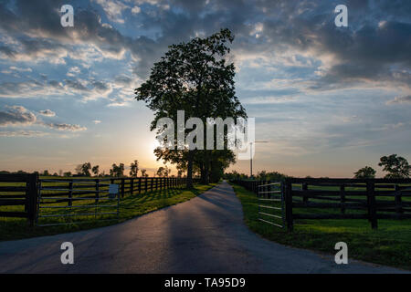 Land Hintergrund Bild einer von Bäumen gesäumten Country Lane mit der untergehenden Sonne hinter den Bäumen und Holz- Fechten auf beiden Seiten. Stockfoto