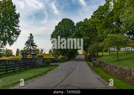 Traditionelle Stein mauer Zaun entlang einer von Bäumen gesäumten Scenic Byway in Bluegrass Region Kentucky im Frühjahr. Stockfoto