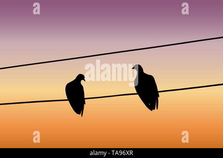 Silhouetten von zwei Tauben sitzen auf einem Draht und an jedem anderen gegen den Sonnenuntergang Himmel. Vector Illustration Stock Vektor