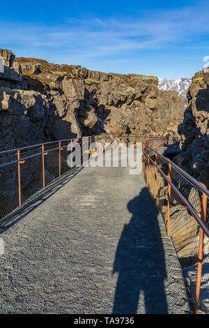 Die Schlucht Almannagjá, Rift Valley zwischen der Trennung der nordamerikanischen und der eurasischen Kontinentalplatte, in Þingvellir National Park, Island Stockfoto