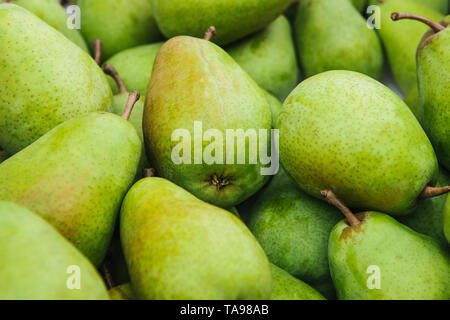 Close-up. Viele frische grüne Birnen Hintergrund. Stockfoto
