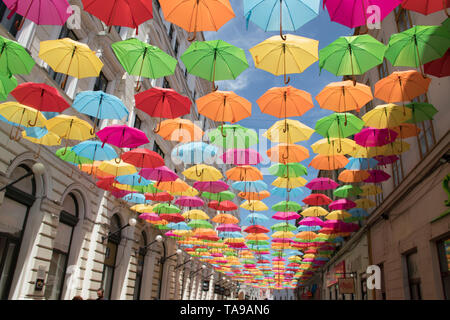 Bunte sonnenschirme Dekoration in den Straßen der Stadt Timisoara, Rumänien Stockfoto