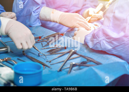 In der Nähe von Doktor Hände während der Operation in Betrieb. Sterilen chirurgischen Instrumenten in einem realen Betrieb verwendet. Schwerpunkt liegt auf der Zeile der Klemmung Griffe. Stockfoto