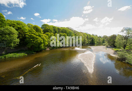 Ein Blick auf der Suche nach dem loyn Brücke über den Fluss Lune in der Nähe von Gressingham, Lancashire, England Großbritannien GB Stockfoto