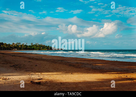 Tropical Beach in Mission Beach, Australien Stockfoto