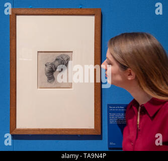 Die Queen's Gallery, London, Großbritannien. 23. Mai 2019. Leonardo da Vinci: ein Leben in der Zeichnung ist die größte Ausstellung von Leonardo's arbeiten in mehr als 65 Jahren, und markiert den 500. Jahrestag des Todes der Künstlerin. Die Ausstellung umfasst über 200 Zeichnungen von Leonardo, von der Königlichen Sammlung erstellt. Bild: Studie für den Arm des hl. Petrus, vorbereitende Skizze für das Letzte Abendmahl. Die Ausstellung läuft vom 24. Mai-13. Oktober 2019. Credit: Malcolm Park/Alamy Leben Nachrichten. Stockfoto