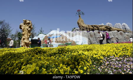 (190523) - Peking, 23. Mai 2019 (Xinhua) - Touristen besuchen die Jilin Garten an der Peking Internationale Gartenbauausstellung in Yanqing Bezirk von Peking, der Hauptstadt von China, 23. Mai 2019. Die Expo begann seine "Jilin Tag" Veranstaltung am Donnerstag. Aktivitäten stattfinden, geografische Merkmale der Provinz und Volksbräuche zu demonstrieren. (Xinhua / Li Xin) Stockfoto