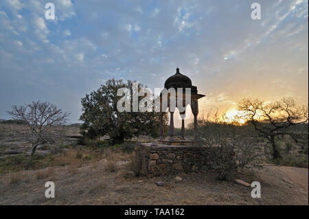 Hindu Tempel in Ranthambore Nationalpark, Rajasthan, Indien, Asien Stockfoto