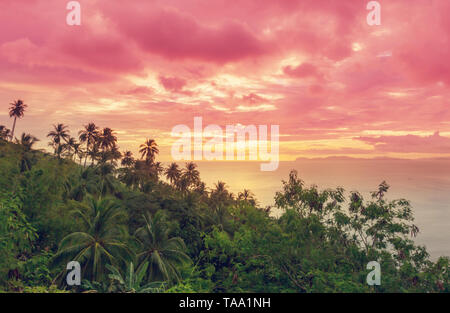 Tropische Landschaften - Regenwald und Meer bei Sonnenuntergang. Urlaub Hintergrund. Stockfoto