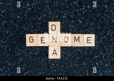Holz Buchstaben bilden, Genom, DNA-Worte auf einem Schwarzen Tisch Stockfoto