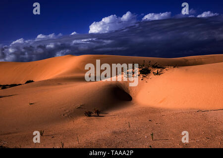 Muster in den Sand mit einer interessanten Himmel im Naturpark von Corralejo Fuerteventura Spanien Stockfoto