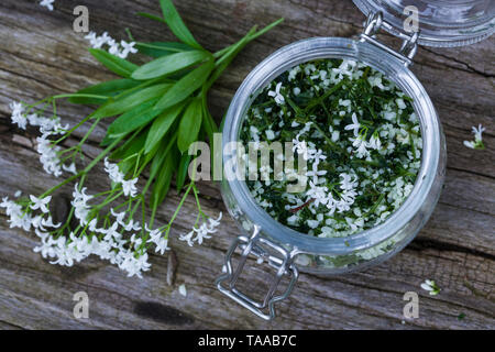 Waldmeister-Salz, Waldmeistersalz, Salz aus Waldmeister, Kräutersalz, Kräuter-Salz, Gewürzsalz, Waldmeister, Wald-Meister, wohlriechendes Labkraut, Ga Stockfoto