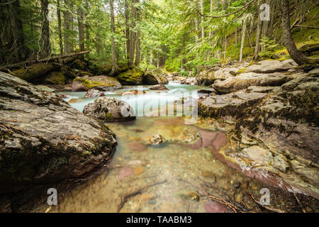 Beruhigende Creek im Glacier National Park Stockfoto