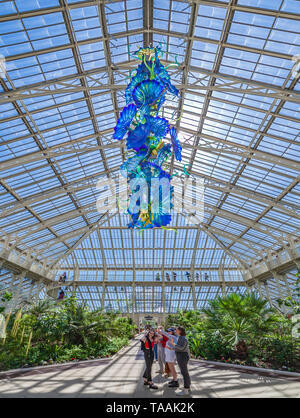 Dale Chihuly Glas Skulptur "gemäßigt Haus Perser' in Kew Gardens. Stockfoto