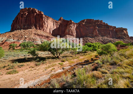 Capitol Reef National Park, Utah, USA, Nordamerika Stockfoto