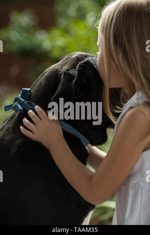 Junges Mädchen küssen Hund auf dem Kopf. Stockfoto